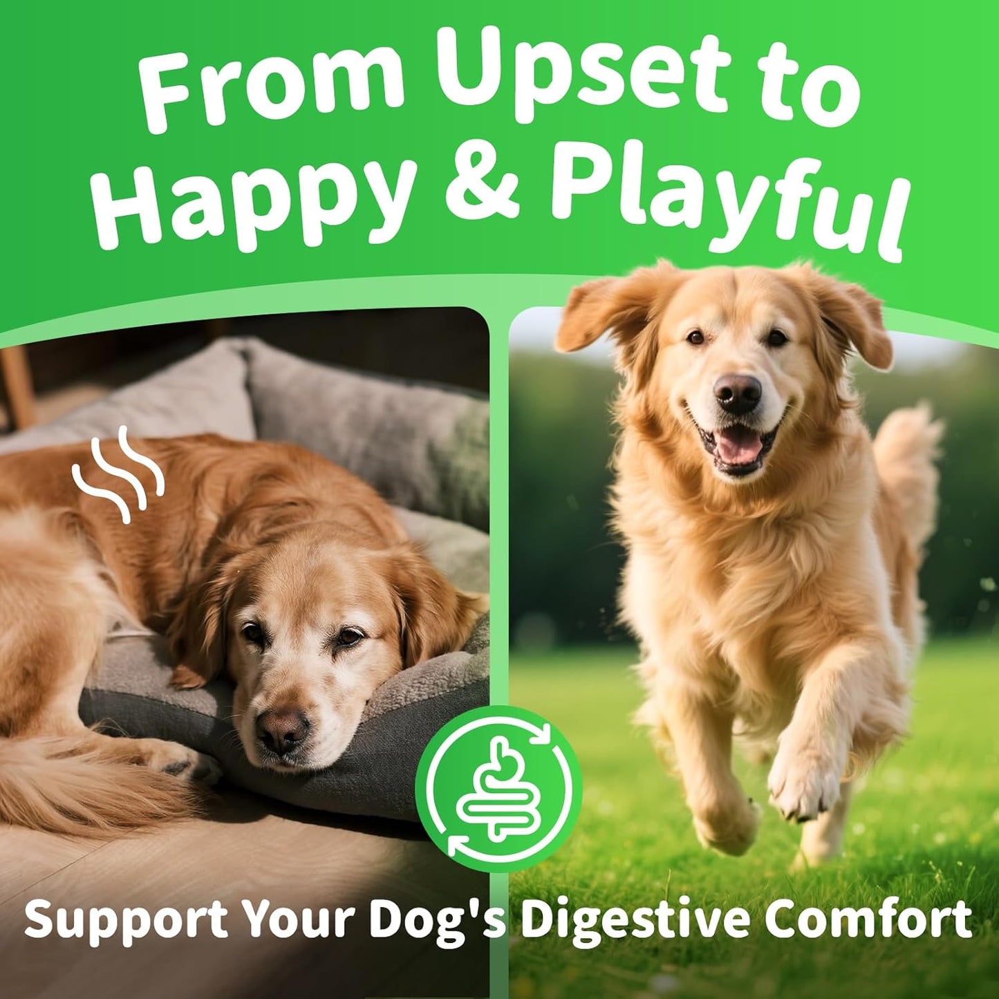 Dog Digestive Enzymes & Probiotics Soft Chews - Gut Health, Pumpkin Fiber, Chicken Flavor, 90 Count