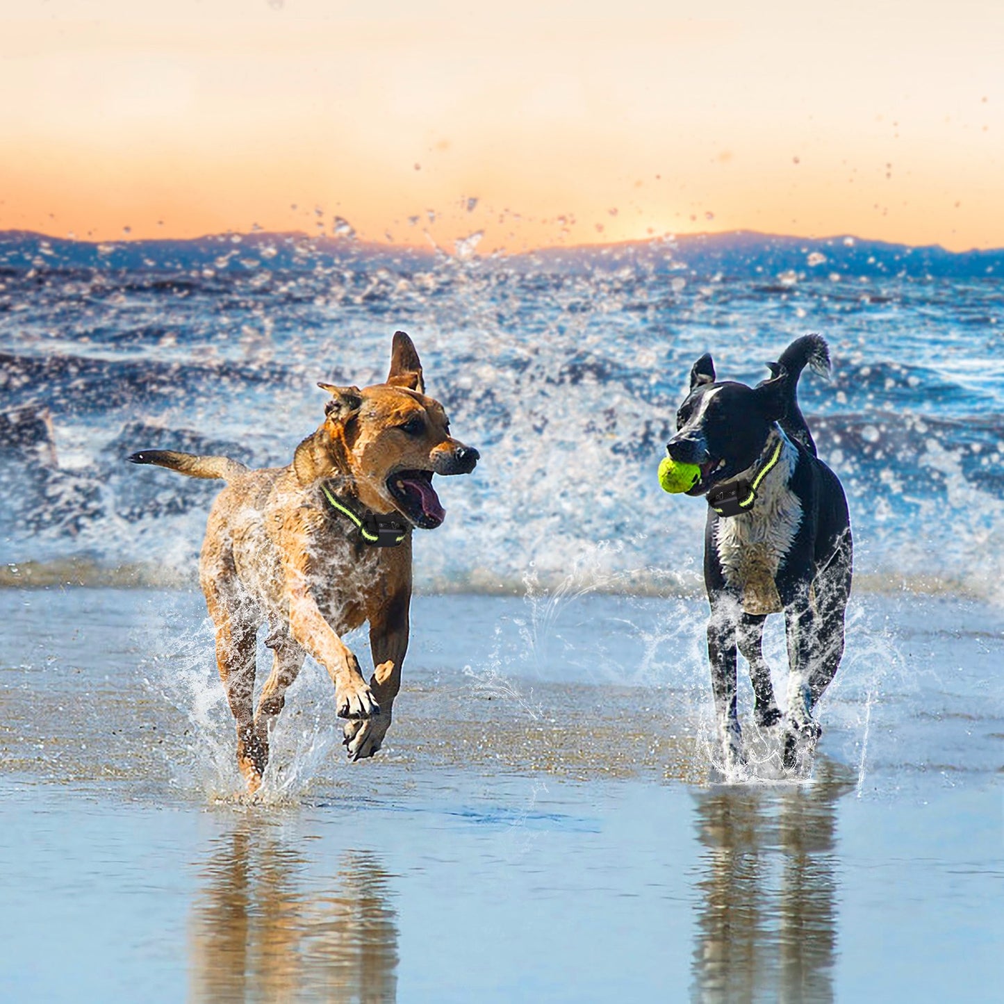 Rechargeable Waterproof Dog Bark Collar with Beep Vibration Static Modes