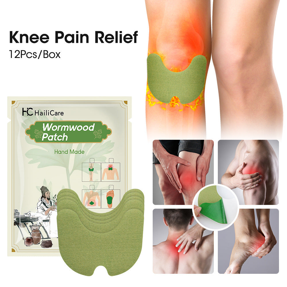 Herbal Knee, Lumbar, Cervical & Foot Patch Set for Pain Relief - 12 Patches