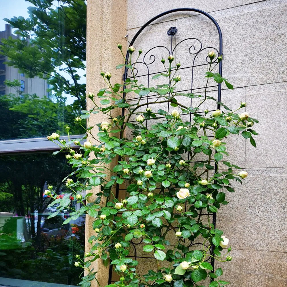 Metal Garden Trellis for Climbing Plants - 86.7" x 19.7" - Black