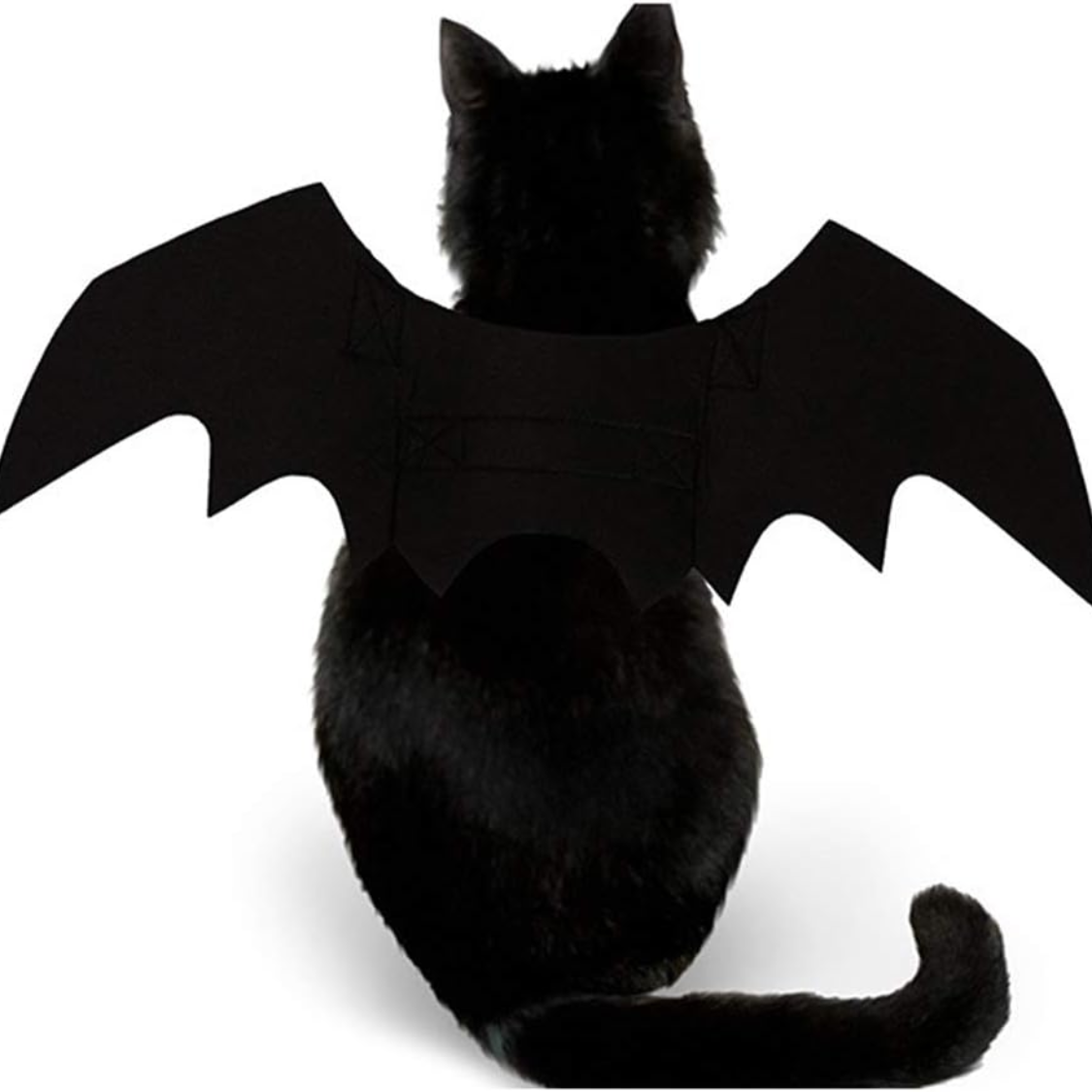 Pet Cat Bat Wings Halloween Costume Accessories - Cute & Lightweight