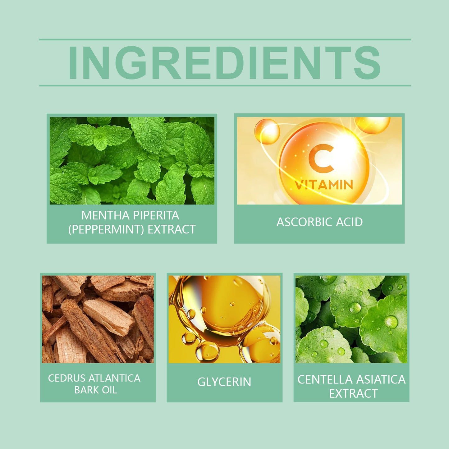 Mint Essential Oil for Skin Care & Aromatherapy - 10ml Moisturizing Body Oil