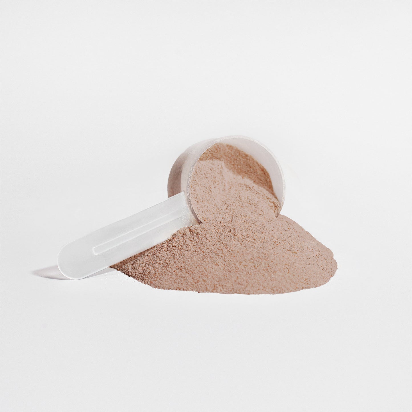 Plant Protein Powder - Chocolate - 21g Protein for Muscle Recovery