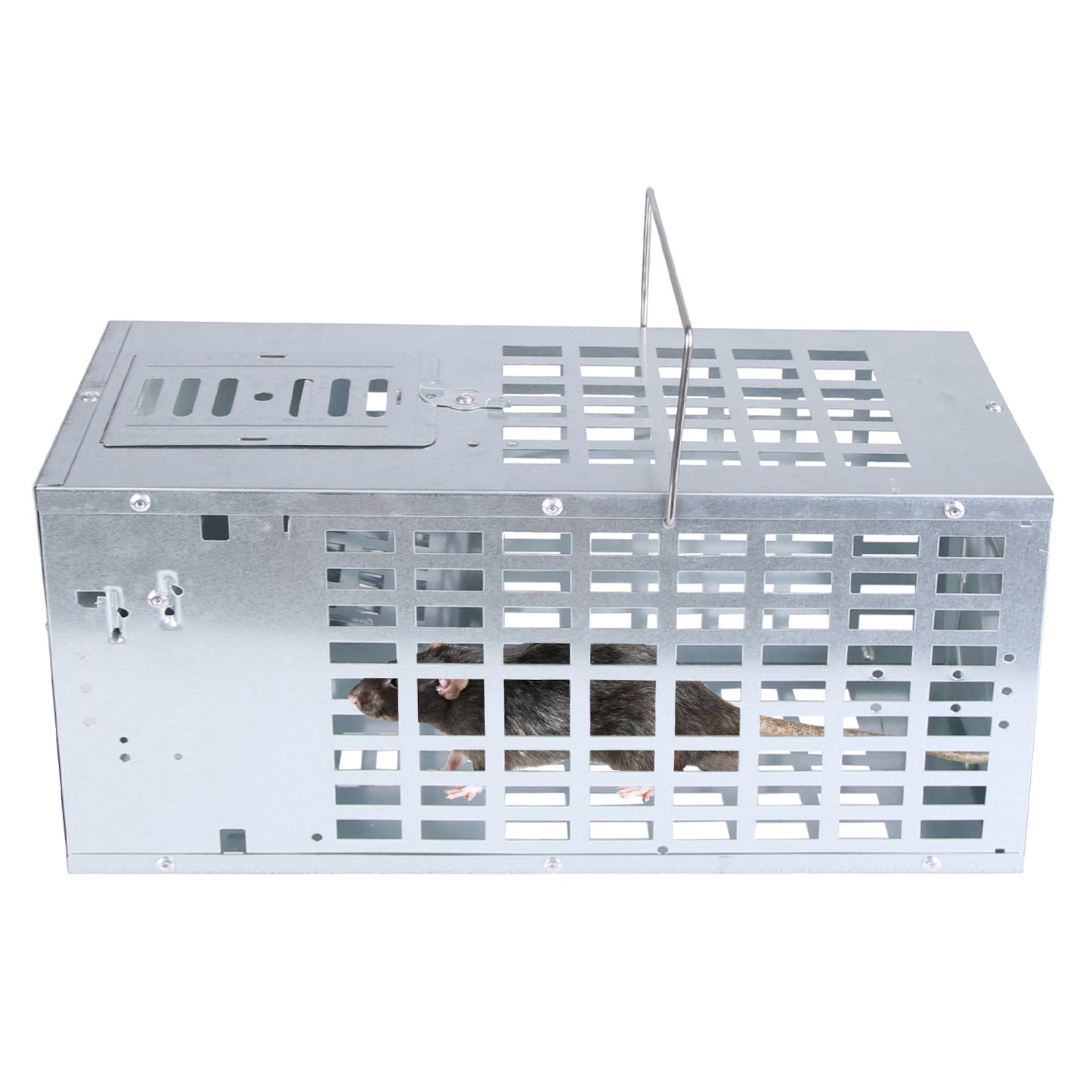 Humane Live Mouse Trap Cage - Reusable Metal Rodent Catcher