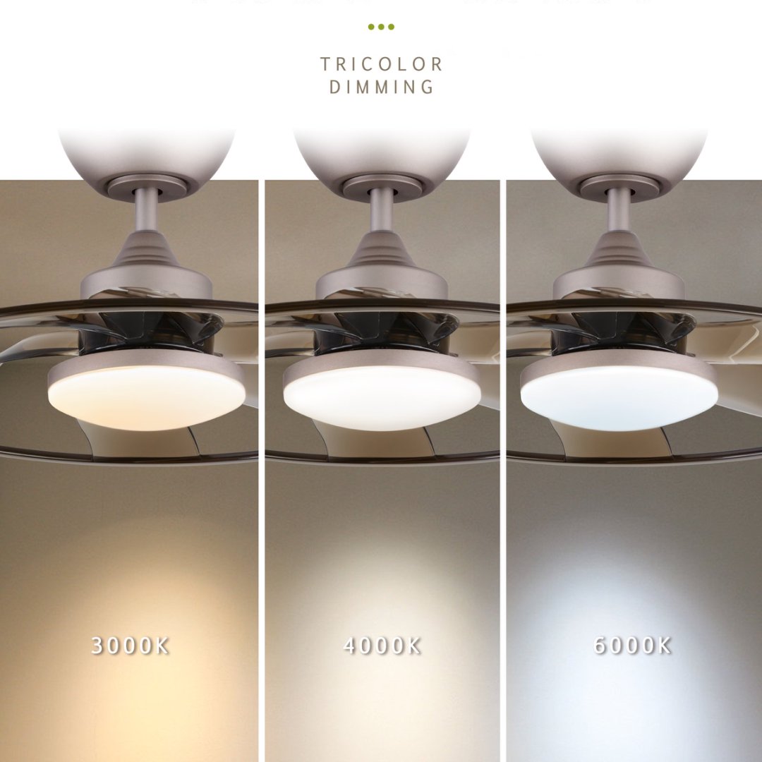 Indoor LED Ceiling Fan with Remote Control - 22W, Reversible, Modern Coffee Finish