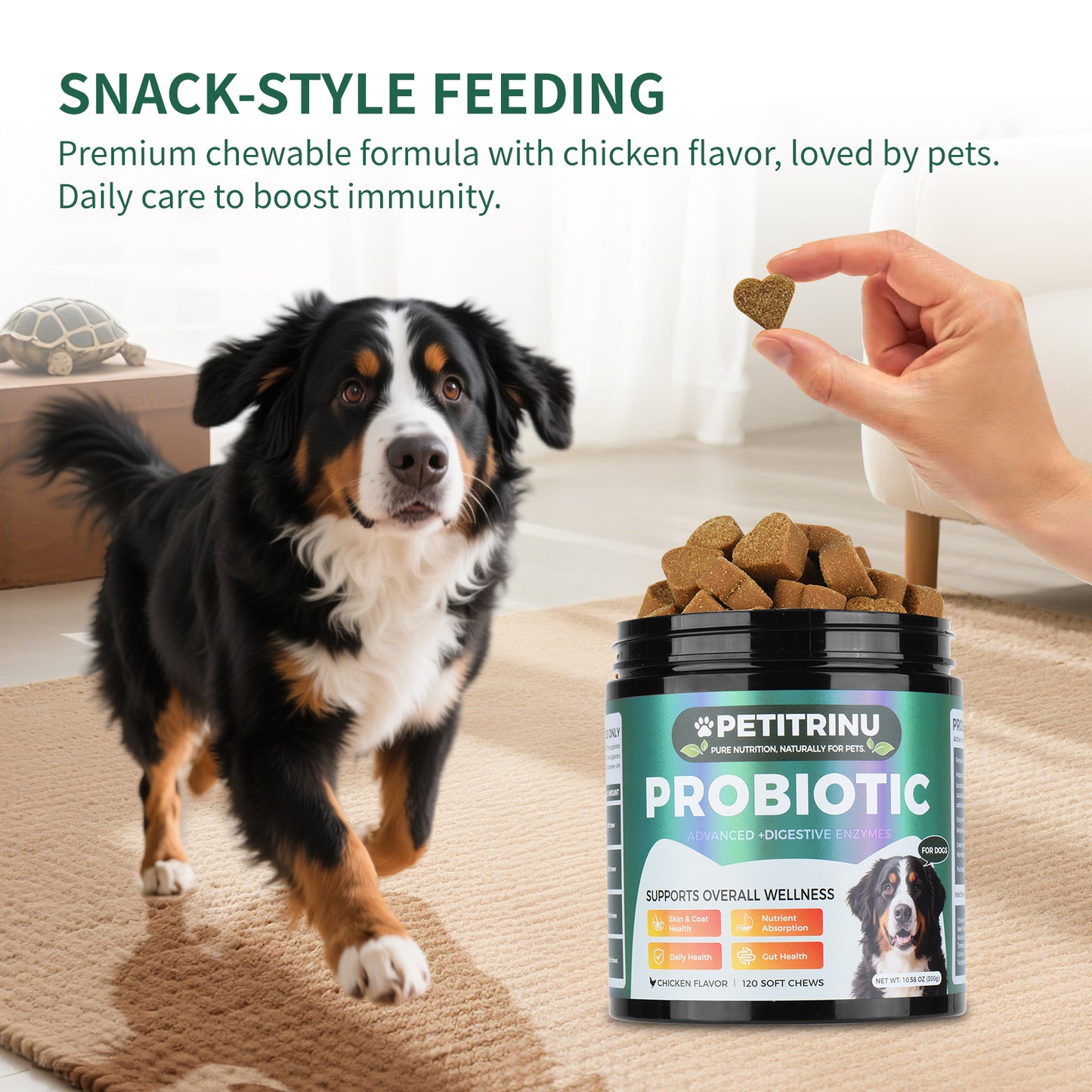 Probiotics for Dogs - Pet Digestive Supplements, 60 Capsules