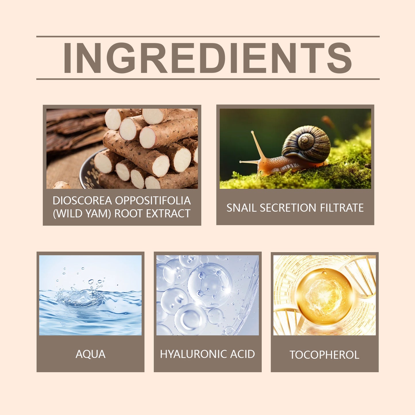 Wild Yam Root Facial Moisturizer with Snail Secretion - Hydrating Face Cream