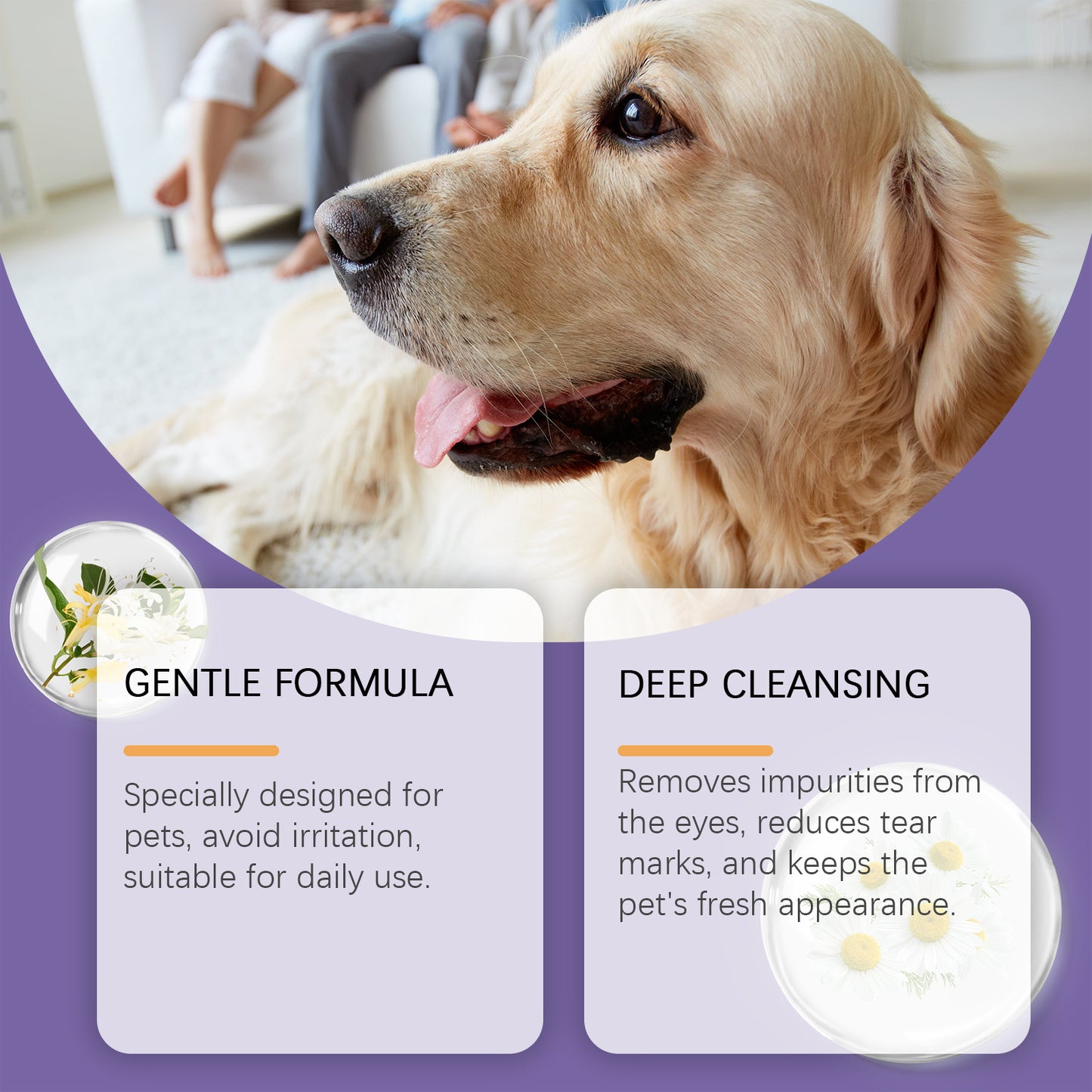 Pet Eye Rinse Solution for Dogs & Cats with Hyaluronic Acid & Honeysuckle 30ml + Cotton Swabs