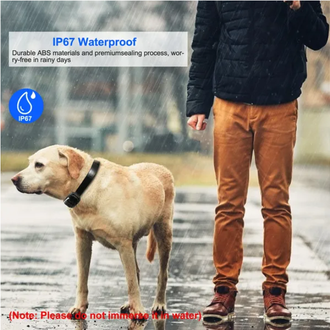 Dog Training Collar Receiver Waterproof IP67 Pet Collar for Obedience