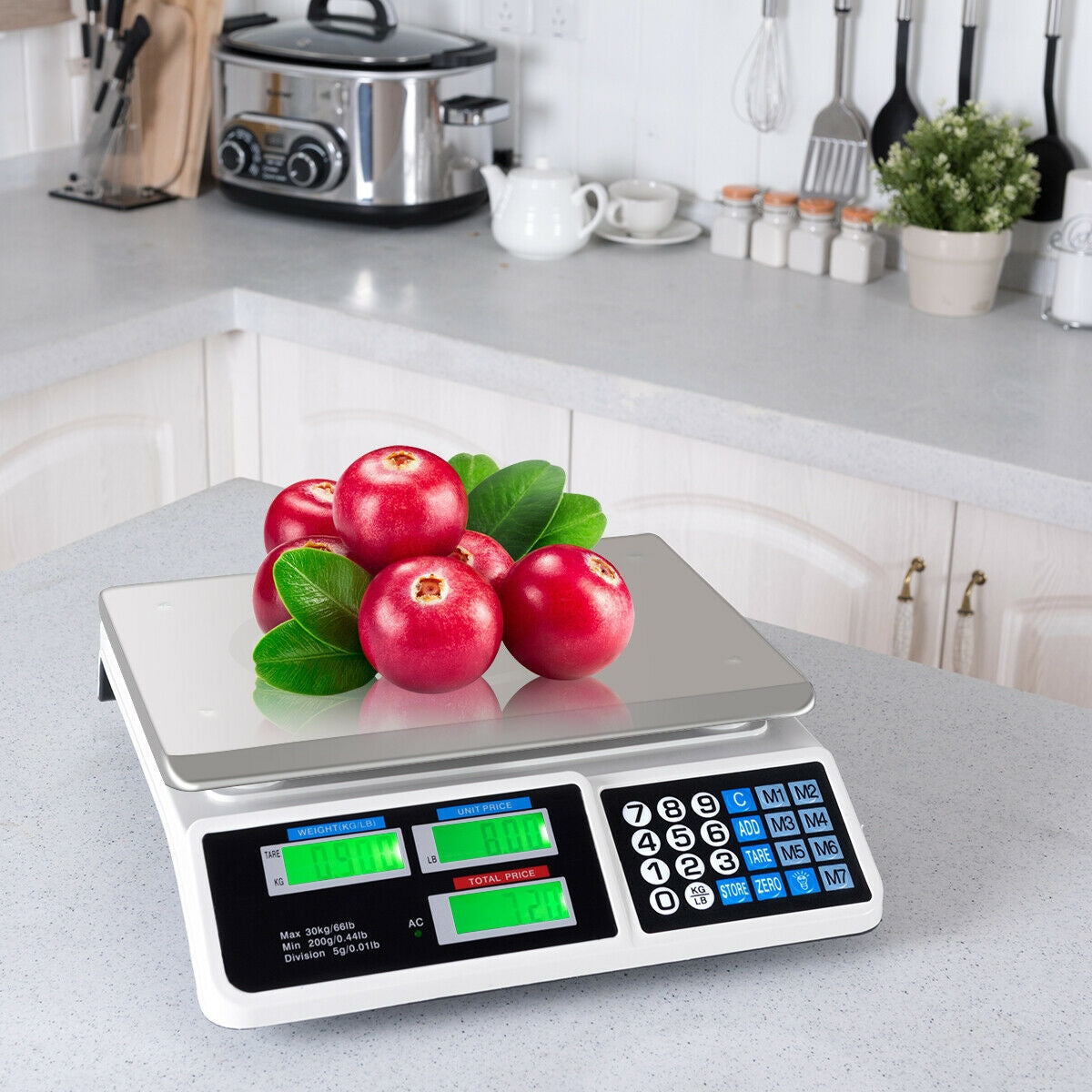 Electronic Price Computing Scale with LCD Display - 66 Lbs