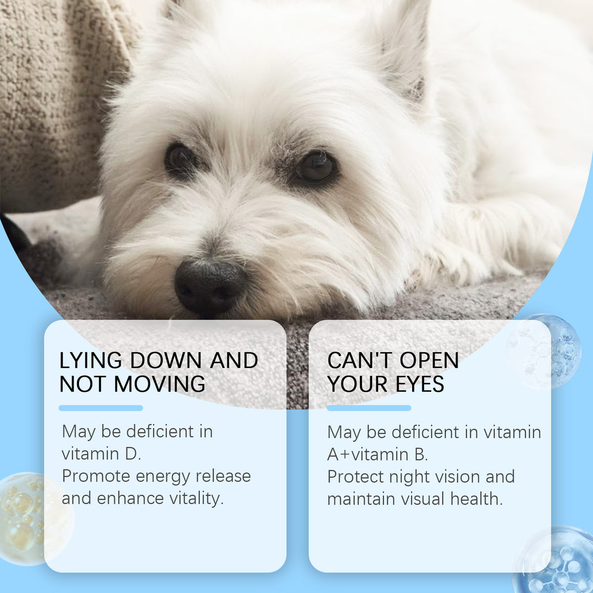 Cat & Dog Multivitamin Tablets - 80 Count