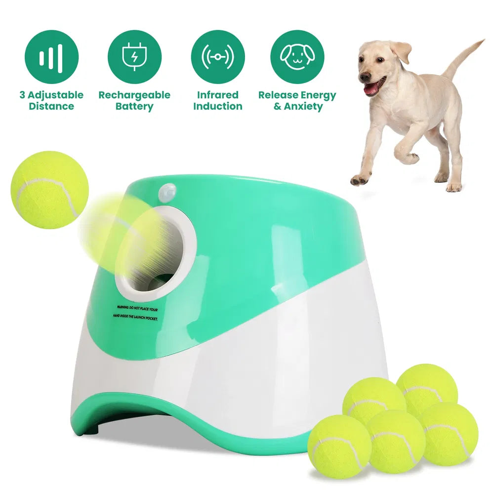 Pet Plush Toy Ball Launcher with 6 Tennis Balls for Small & Medium Dogs - Green