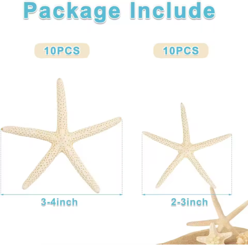 20 PCS Natural Real Starfish for DIY Crafts & Wedding Decor