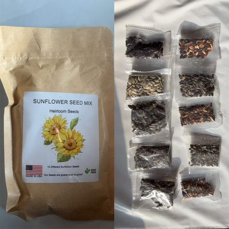 10 Packets of Heirloom Sunflower Seeds - Mix of Red, Purple, Pink & Yellow for Garden Growth
