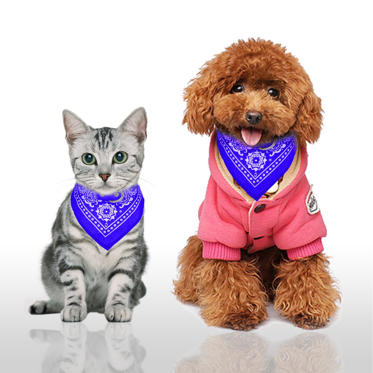 Adjustable Bandana Leather Pet Collar - Triangle Scarf