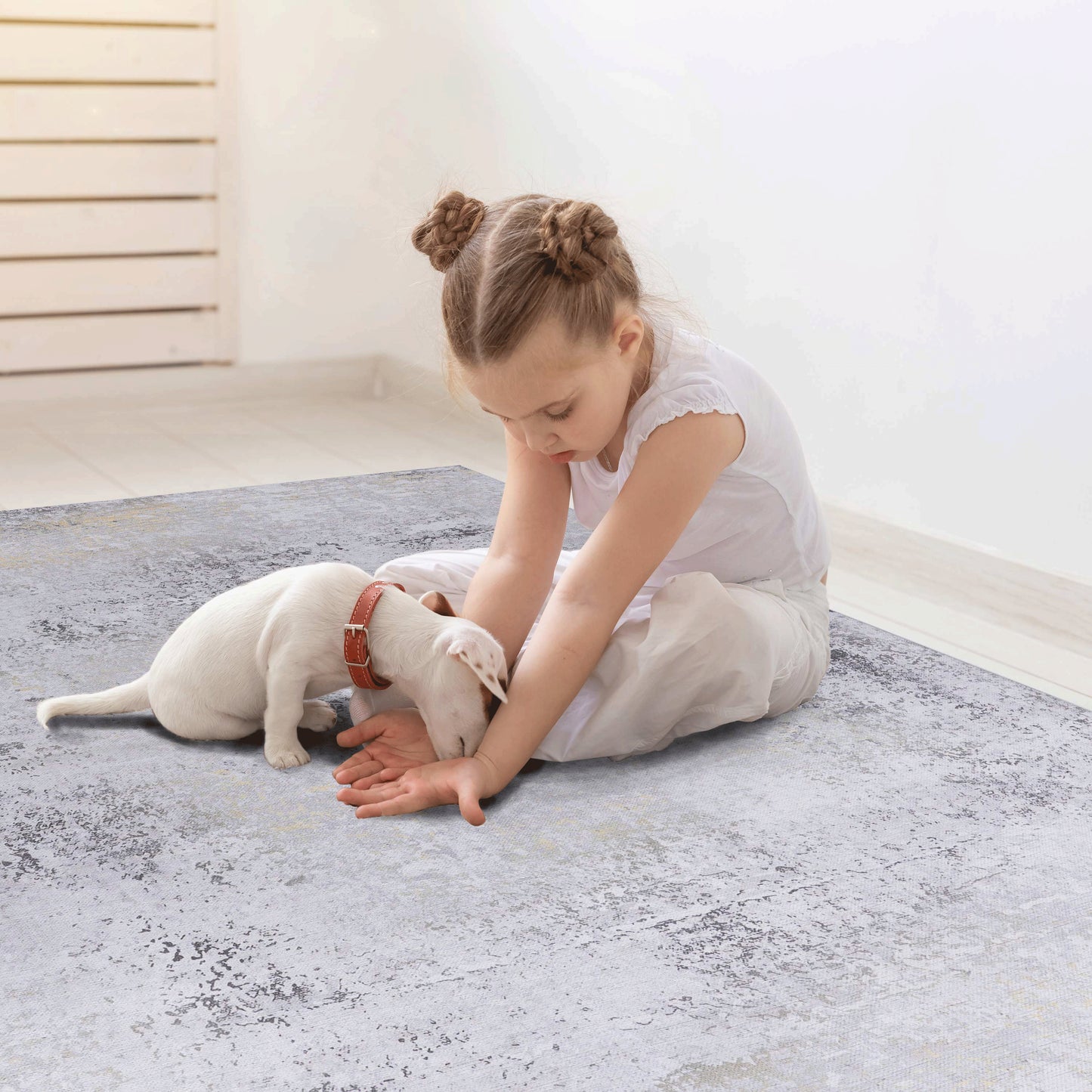 Gold Washable Area Rug - 3x5 Gray & Gold