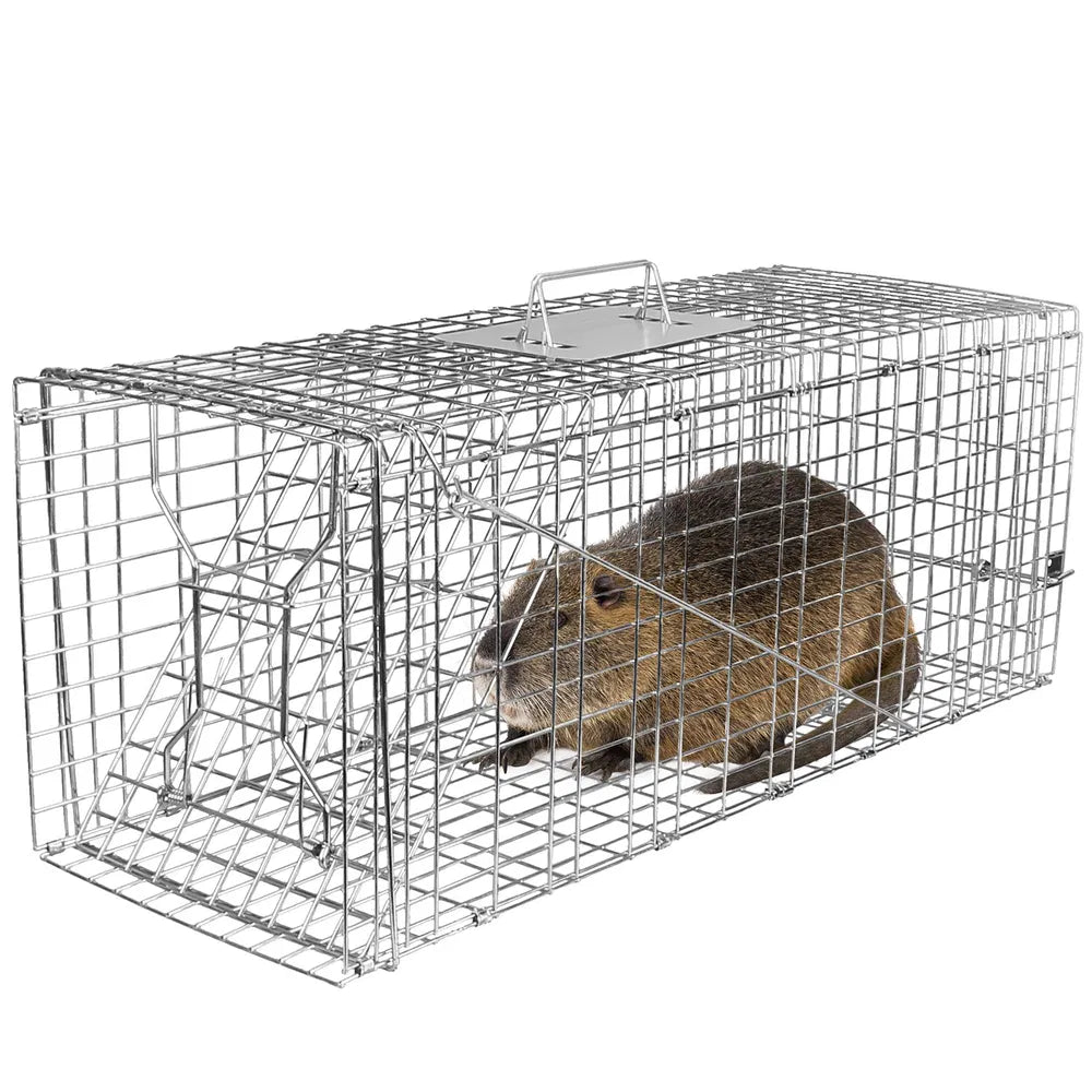 Humane Live Animal Trap Cage for Raccoons, Groundhogs & Cats - Collapsible Galvanized Wire