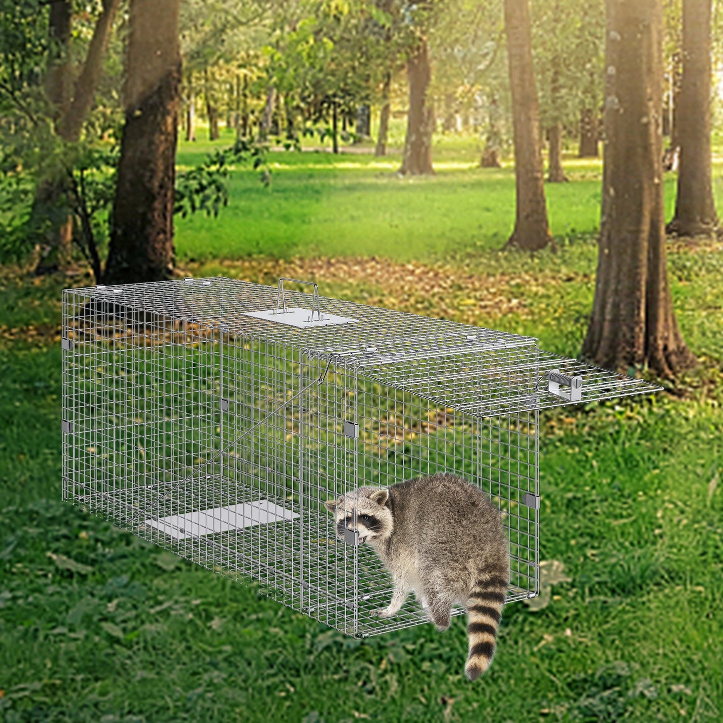 42-Inch Humane Animal Cage Trap for Cats, Stray Dogs, Raccoons, and More