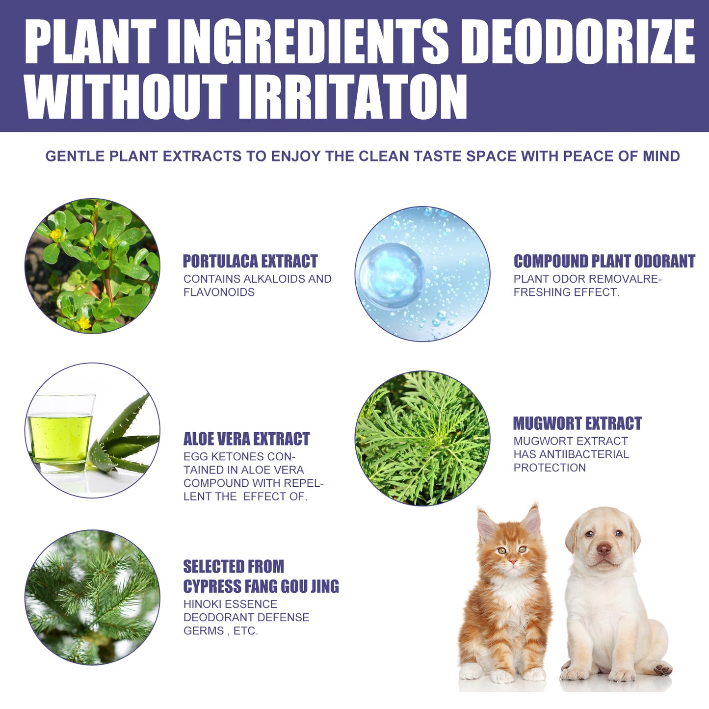 Pet Odor Eliminator Spray with Aloe & Portulaca - Non-Toxic Deodorizer for Dogs, 60ml