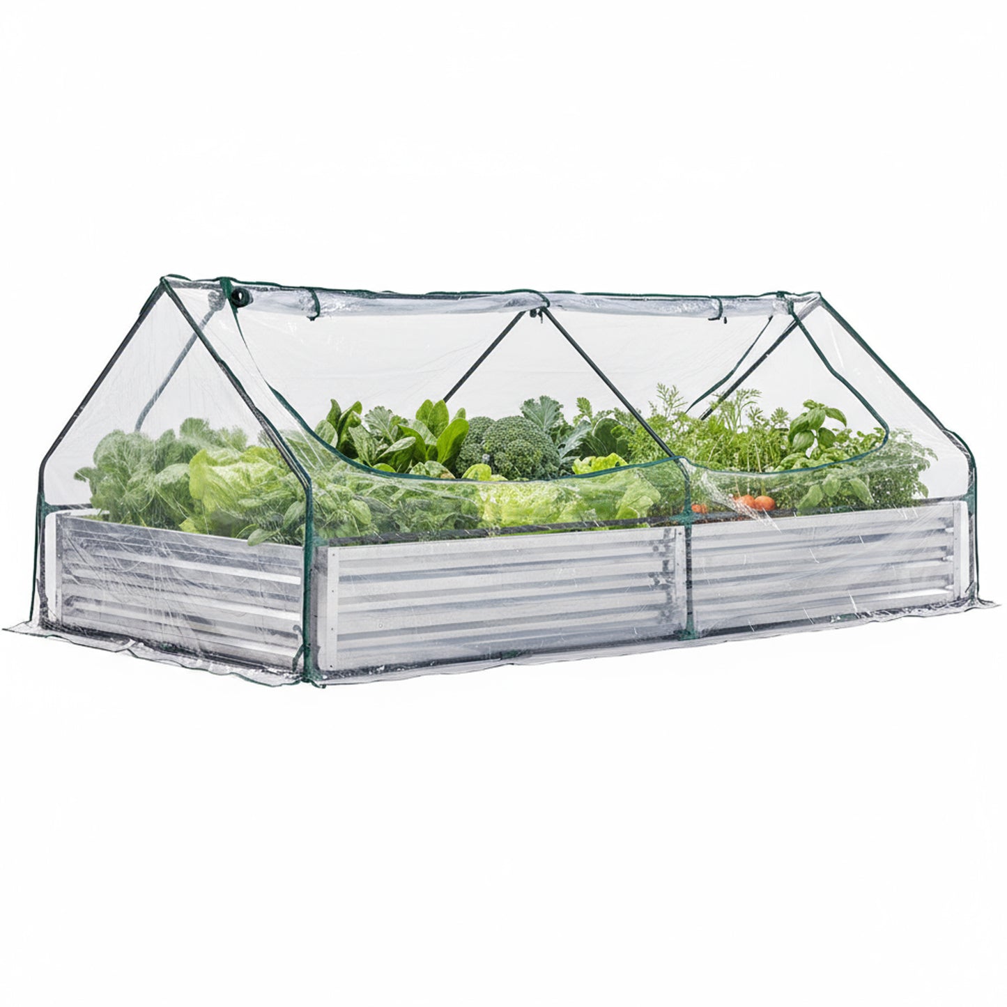 Greenhouse with Double Zipper Doors Waterproof UV Protection for Flowers, Vegetables & Herbs - Multiple Sizes