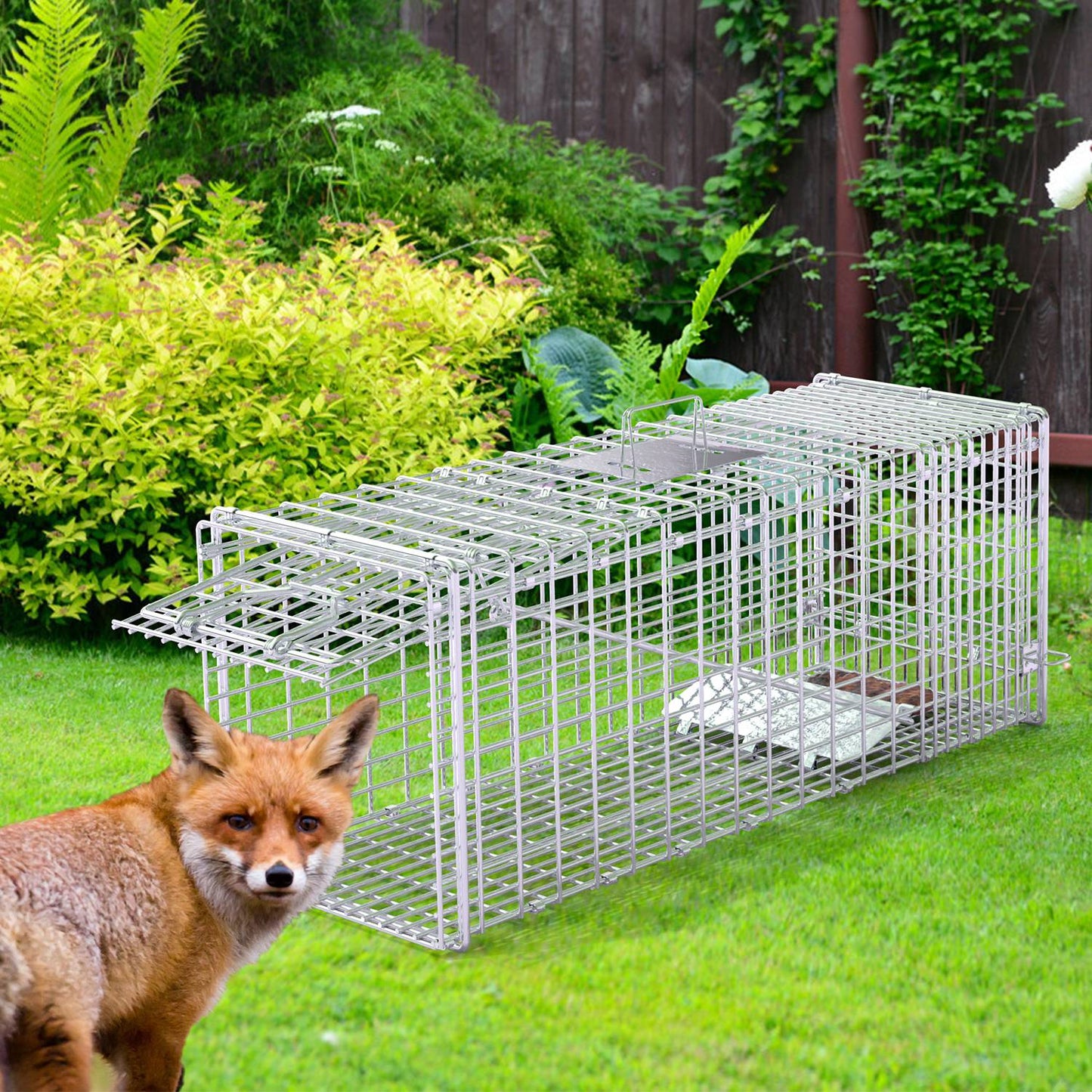 Humane Live Animal Trap - Folding Cat Trap 37x14x15 in