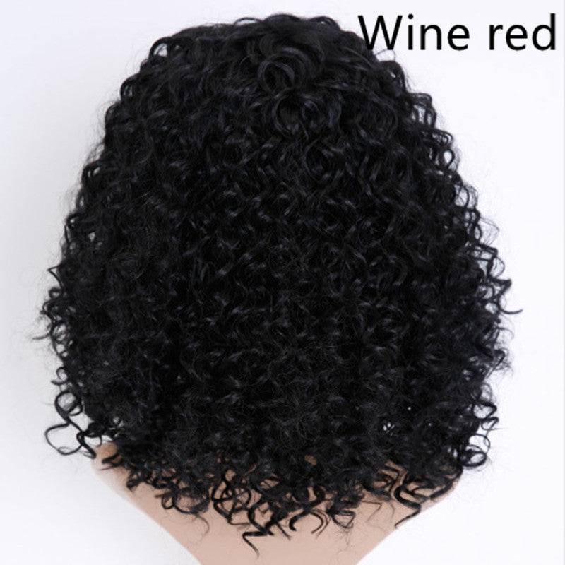 Women’s Short Curly Synthetic Wig with Afro Style - Multiple Colors