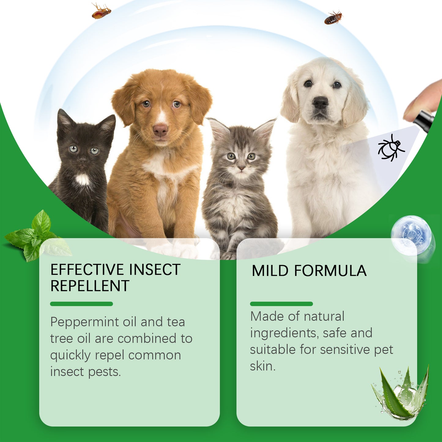 Natural Flea & Tick Spray for Dogs & Cats - Plant-Based Pest Repellent, 100ml