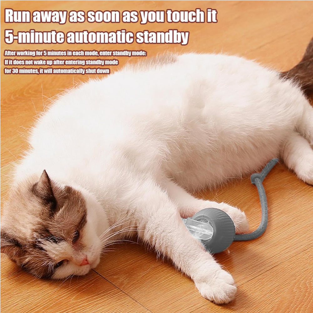 Interactive Rolling Cat Toy Ball - Self-Rotating Silicone Pet Playball
