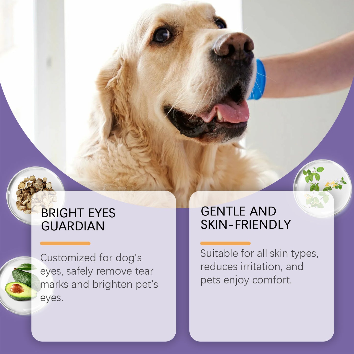 Dog Tear Stain Remover Paste with Honeysuckle & Coconut Oil - Gentle Brightening Eye Care 20g