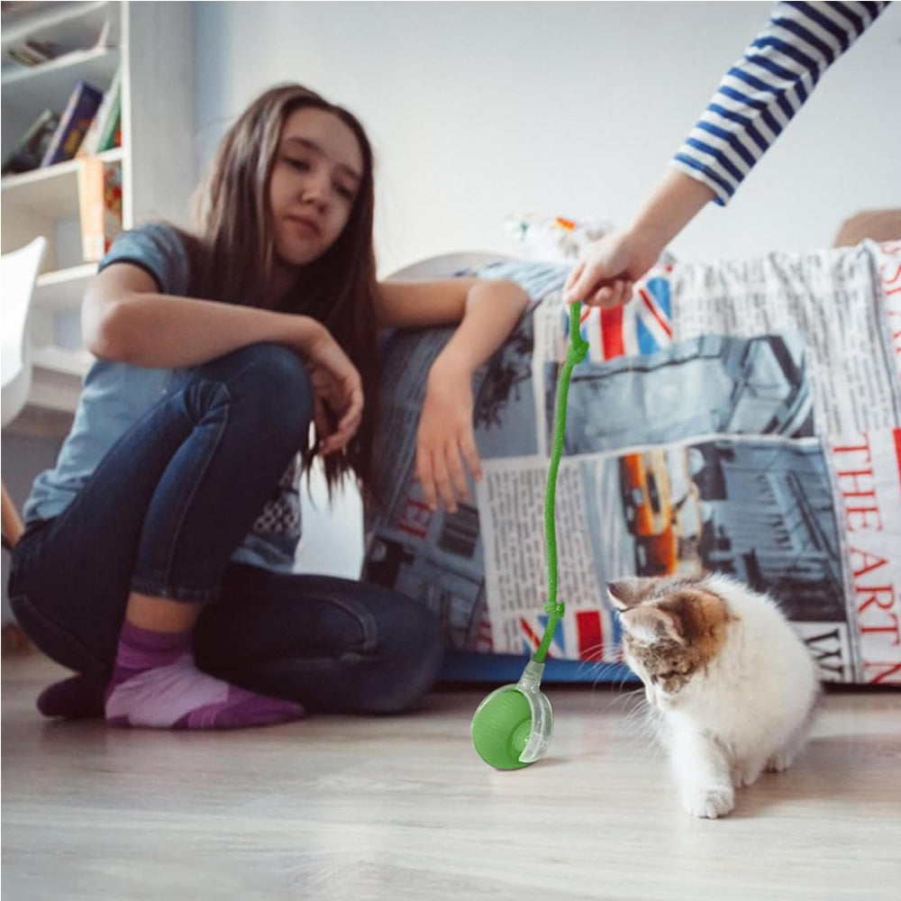 Interactive Electric Pet Ball Toy for Cats and Dogs - Indoor & Outdoor Play