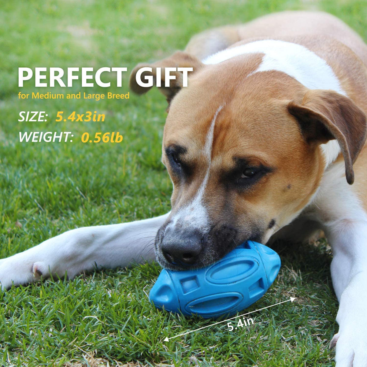 Durable Rubber Dog Toy with Squeaker - Interactive Bite-Resistant Fetch Ball
