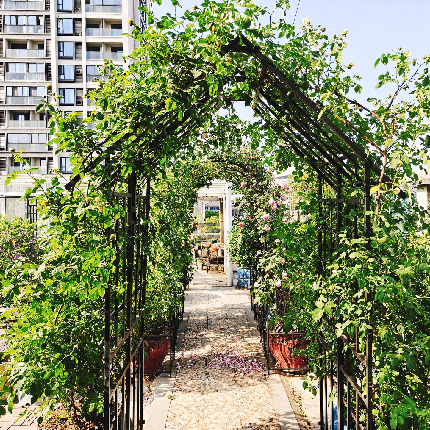 Metal Garden Arch with Gate for Climbing Plants - Black