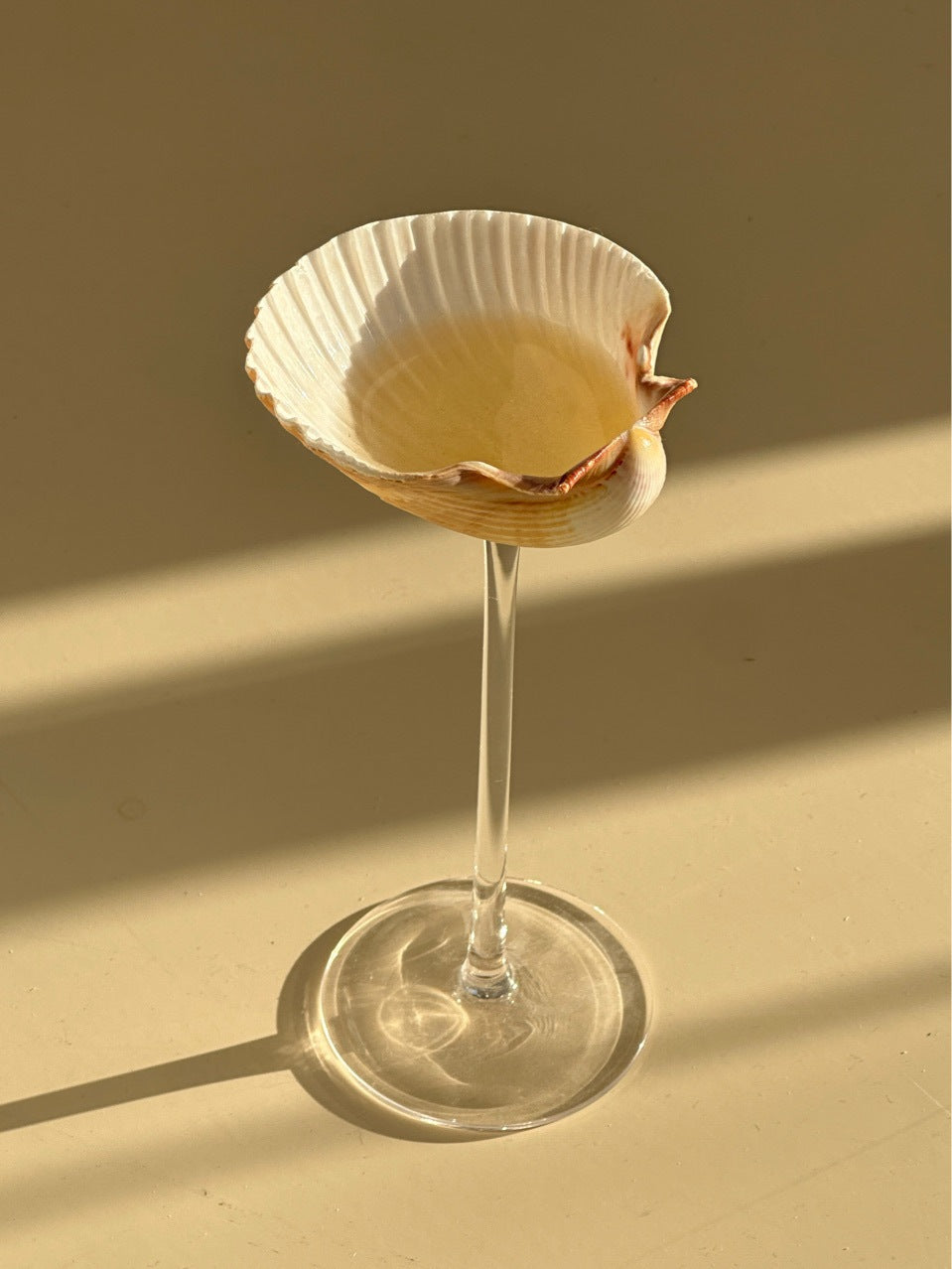 Creative Conch Shell Water Cup - Handmade Glass Drinkware for Home & Garden