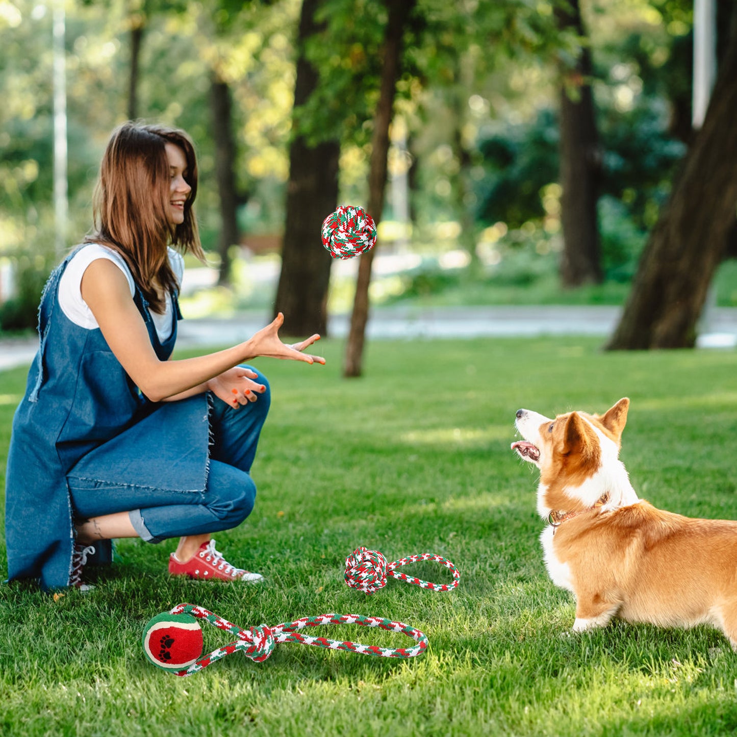 Christmas Dog Rope Chew Toys Set - Interactive Puppy Teething Toys for Small & Medium Dogs