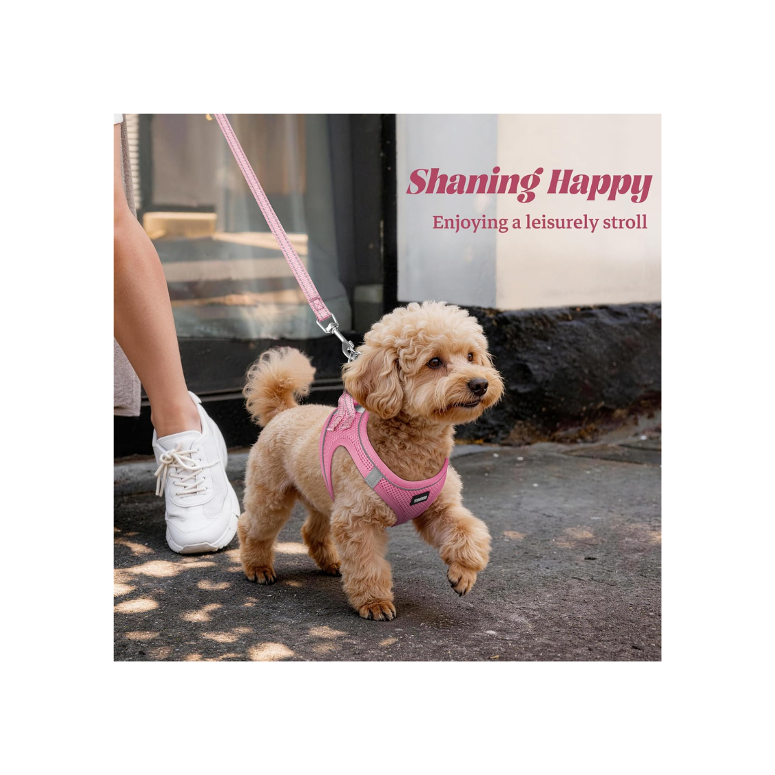 No Pull Dog Harness and Leash Set Reflective Mesh Vest - Pink, Adjustable, Safety