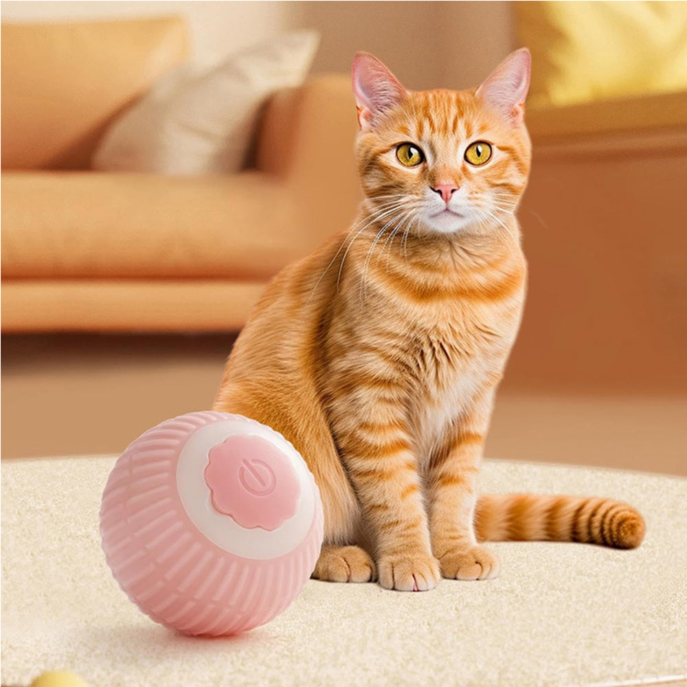 Interactive Electric Pet Ball Toy for Cats and Dogs - Indoor Outdoor Rolling Fun