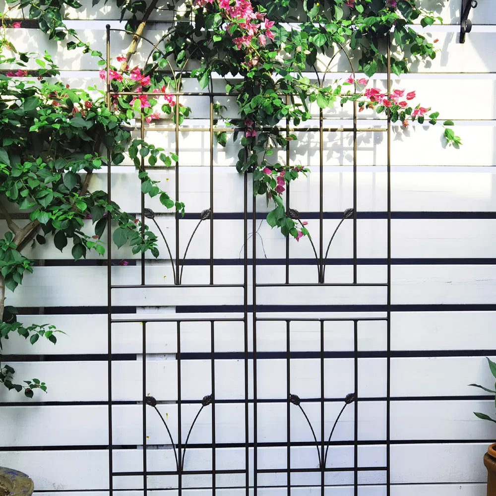 Metal Garden Trellis - 71" x 17.7" Rustproof Support for Climbing Plants