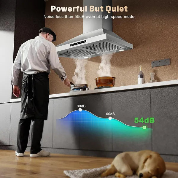 24-Inch Ducted Ductless Wall Mount Range Hood 450CFM Stainless Steel with Touch & Gesture Control