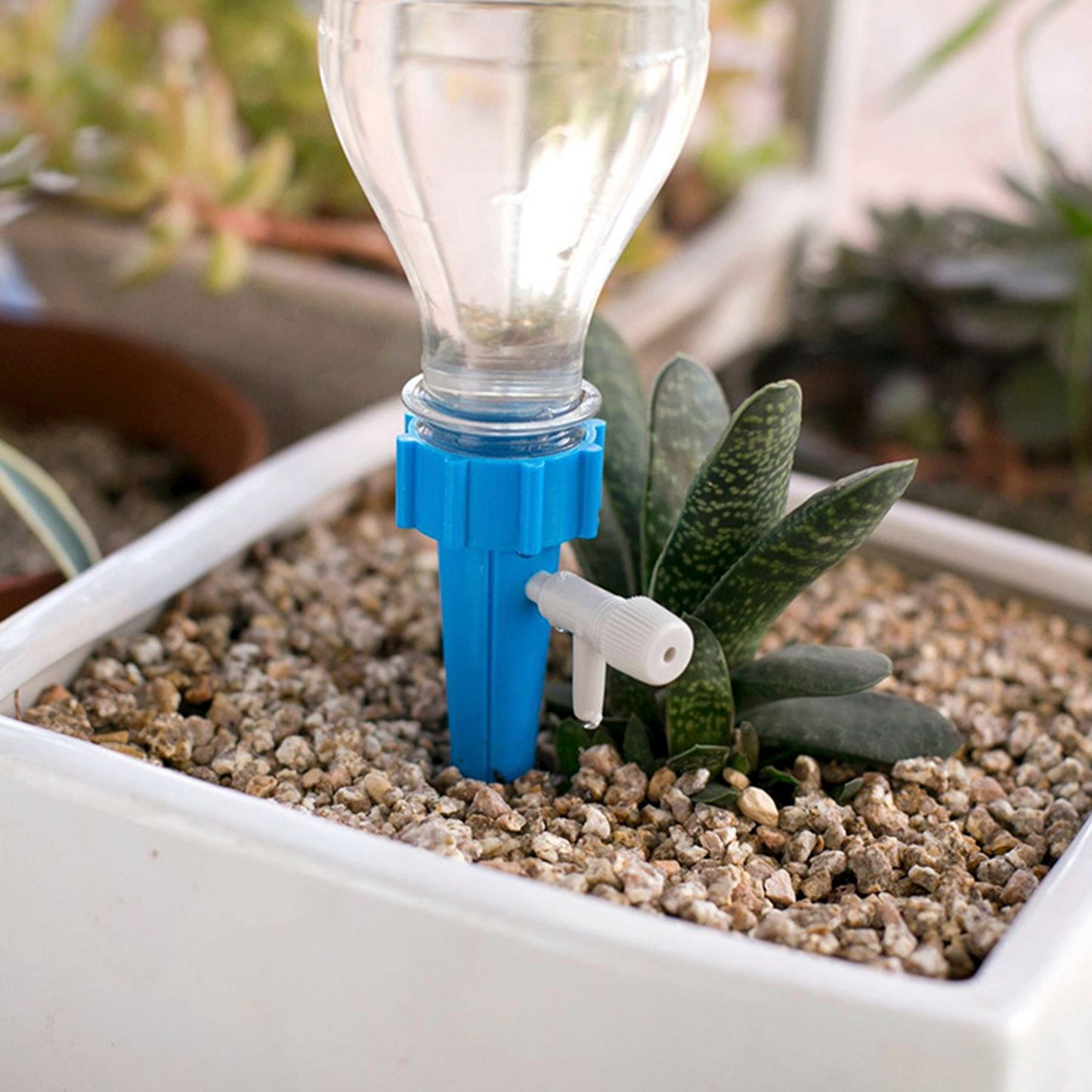 Self Watering Plant Spikes Set - Automatic Drip Irrigation for Indoor & Outdoor Plants