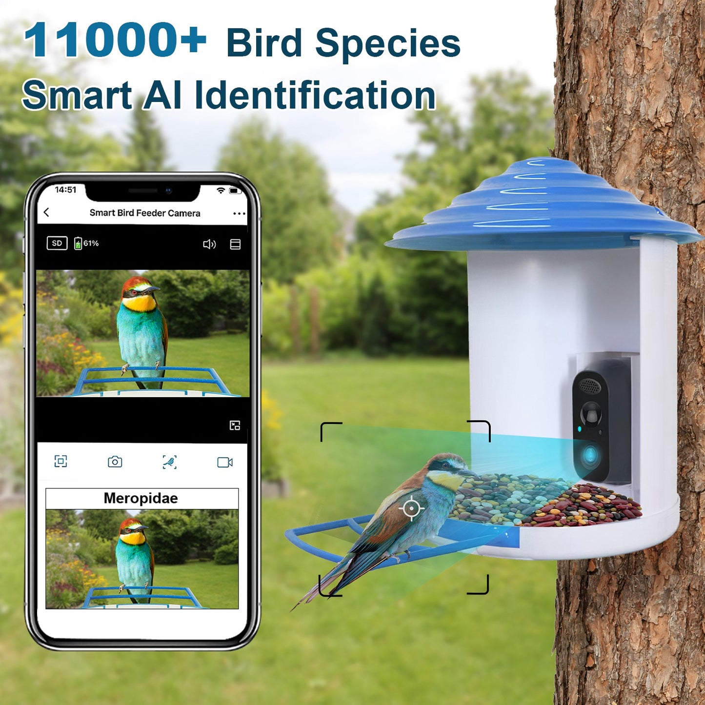 Wireless Bird Feeder with HD Camera Solar Power Night Vision App Control