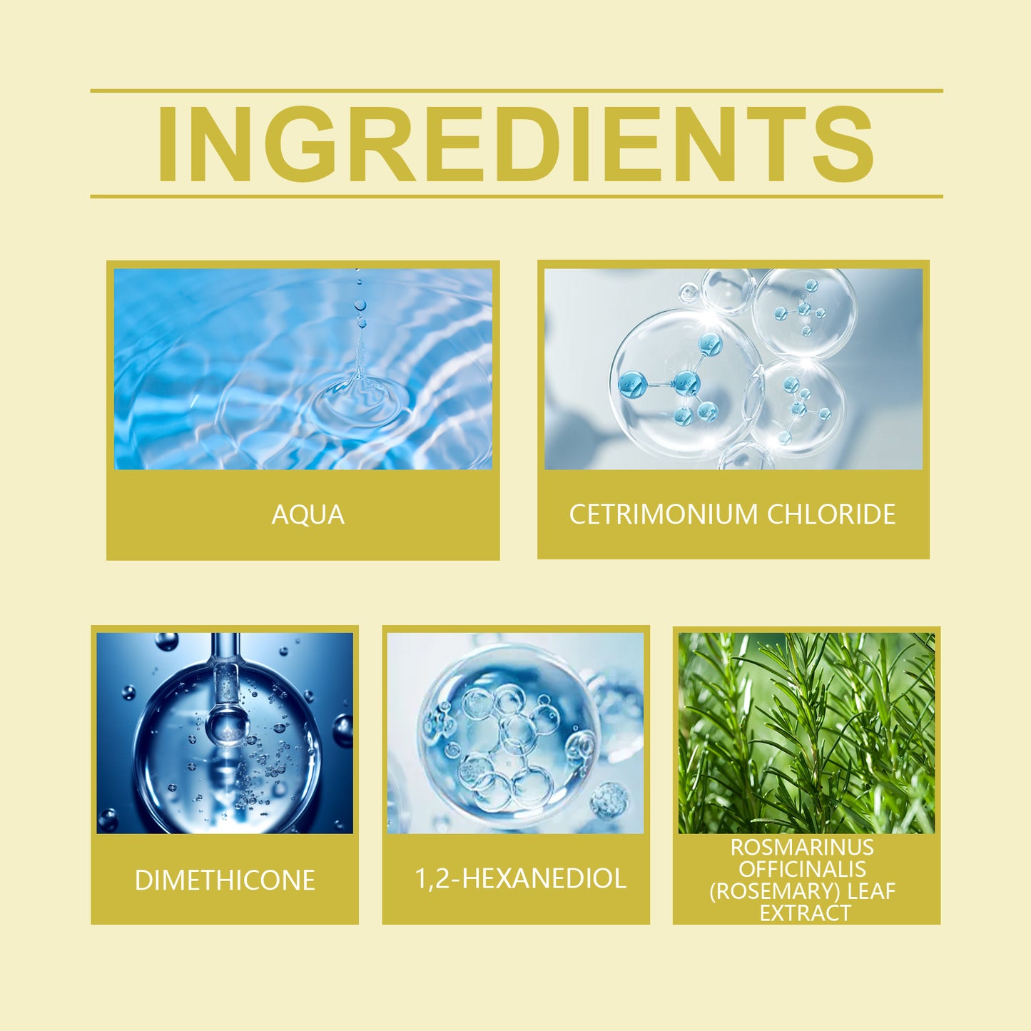 Ginger and Rosemary Hair Conditioner for Deep Moisture and Frizz Control
