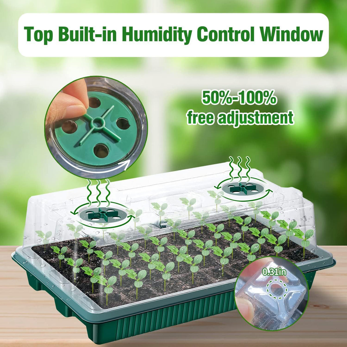Digital Display Controller for Seedling Growth Scheduling