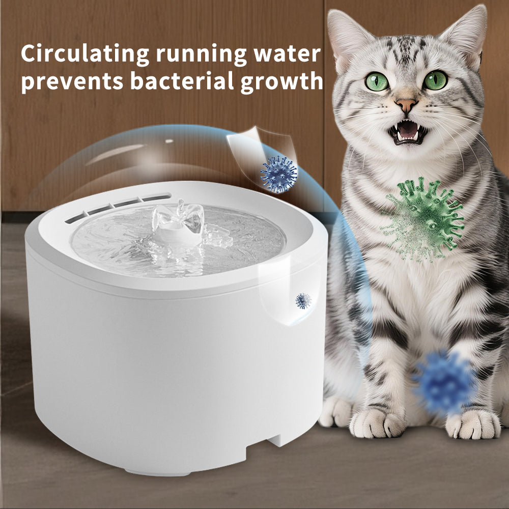 Pet Water Dispenser with Self Pickup for Easy Hydration