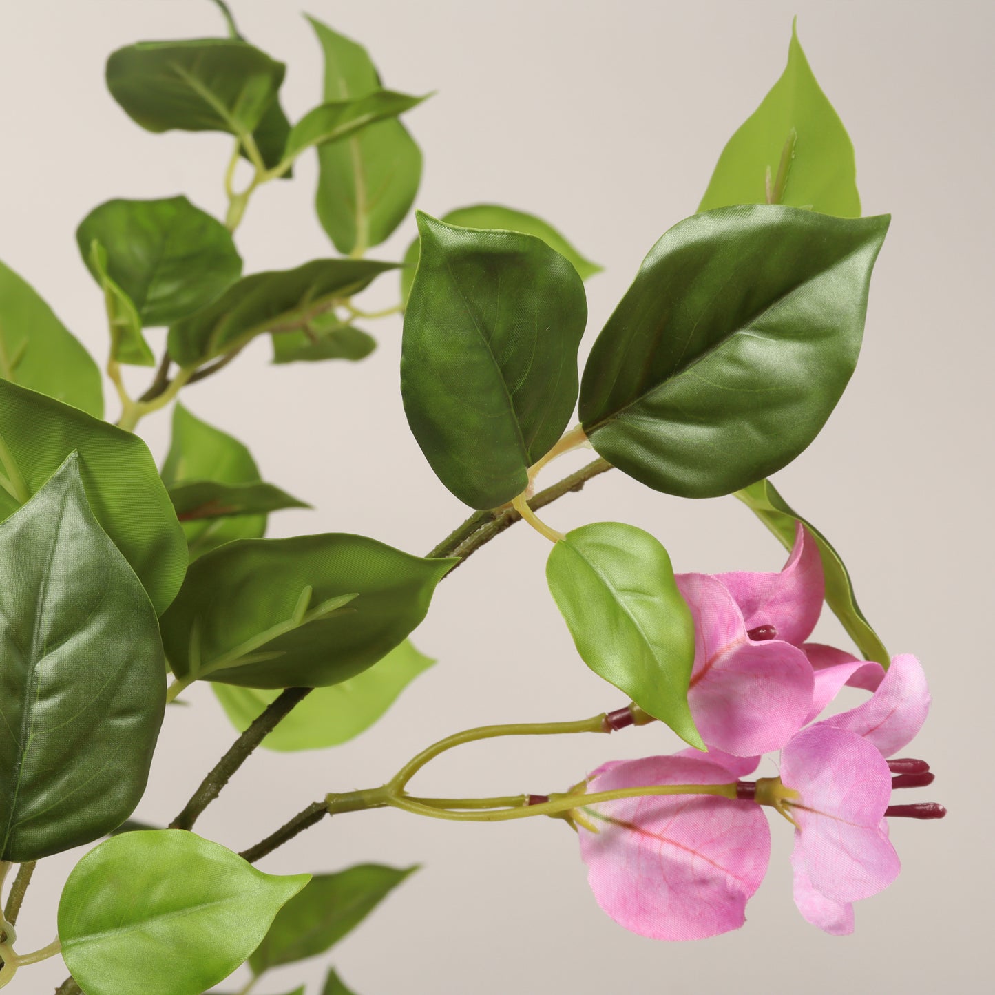 60-Inch Artificial Bougainvillea Tree - Baby Pink & Green Leaf