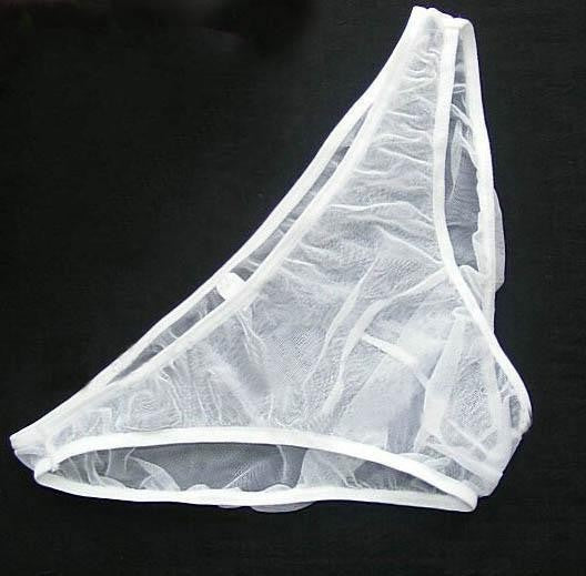 Plus Size Transparent Mesh Lingerie - Low Waist T-Back See-Through Underwear
