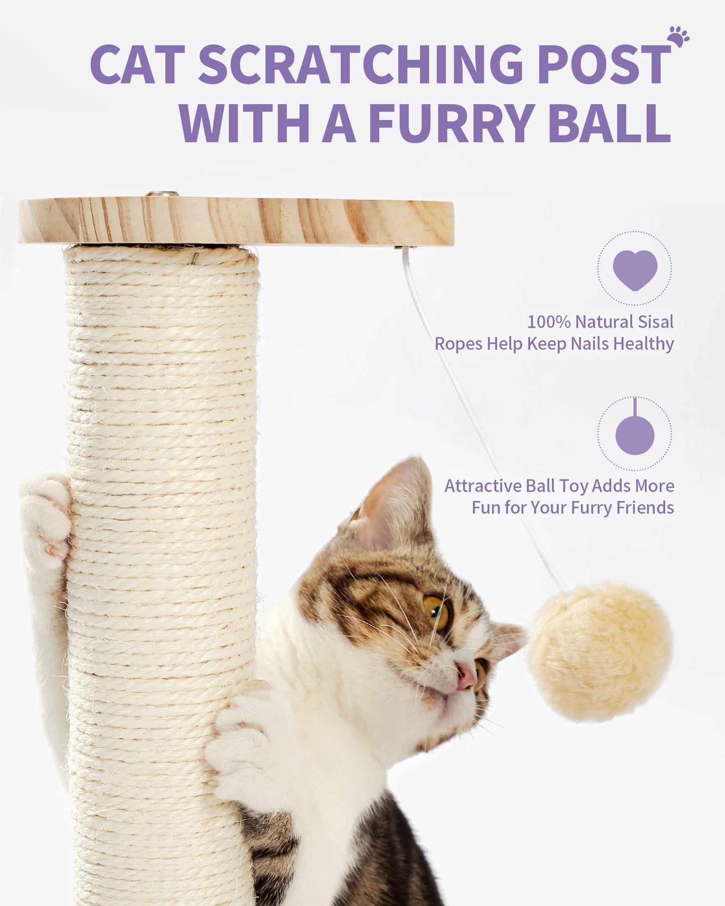 Indoor Cat Scratching Post and Interactive Toy Track Set - Small Cats