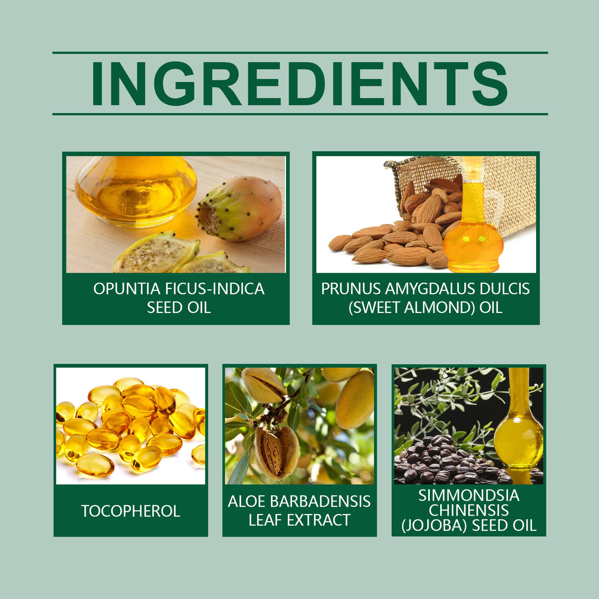 Cactus Plant Body Massage Essential Oil 50ml