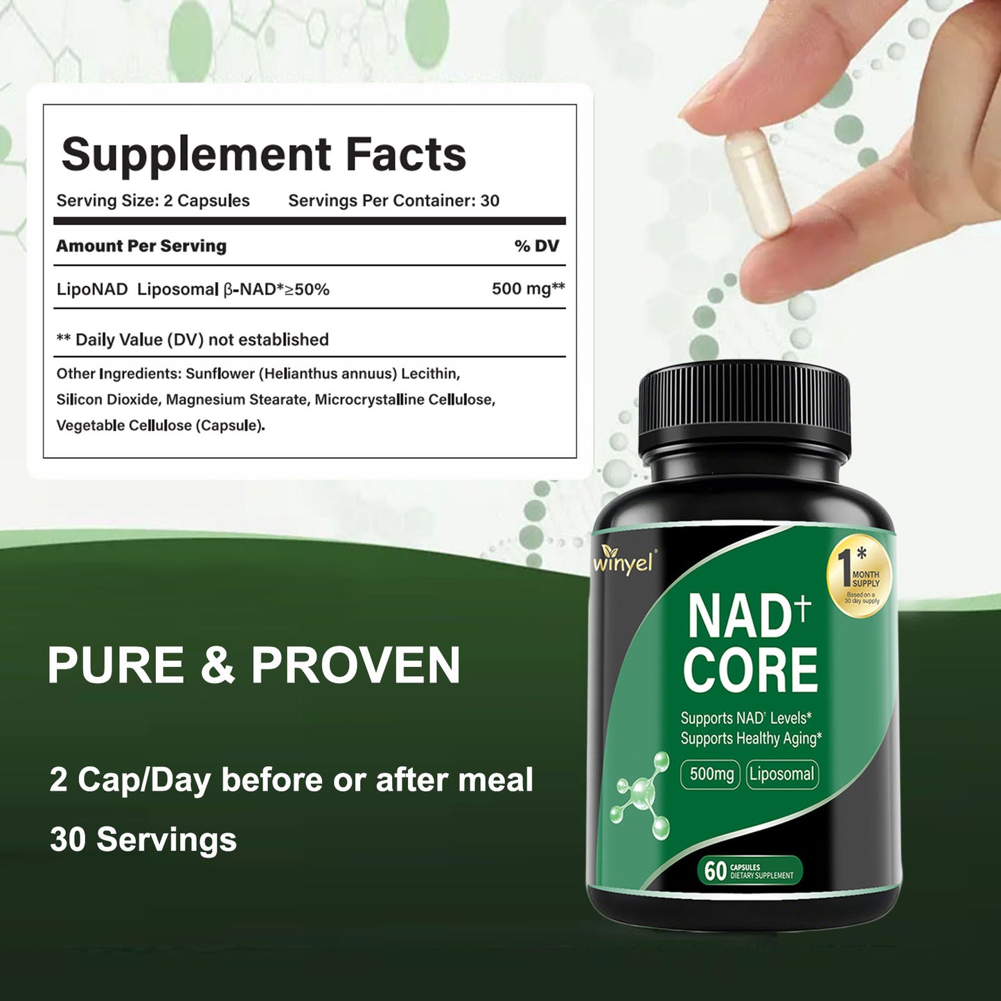 Liposomal NAD+ Enhancer Supplement - 60 Capsules for Energy & Healthy Aging