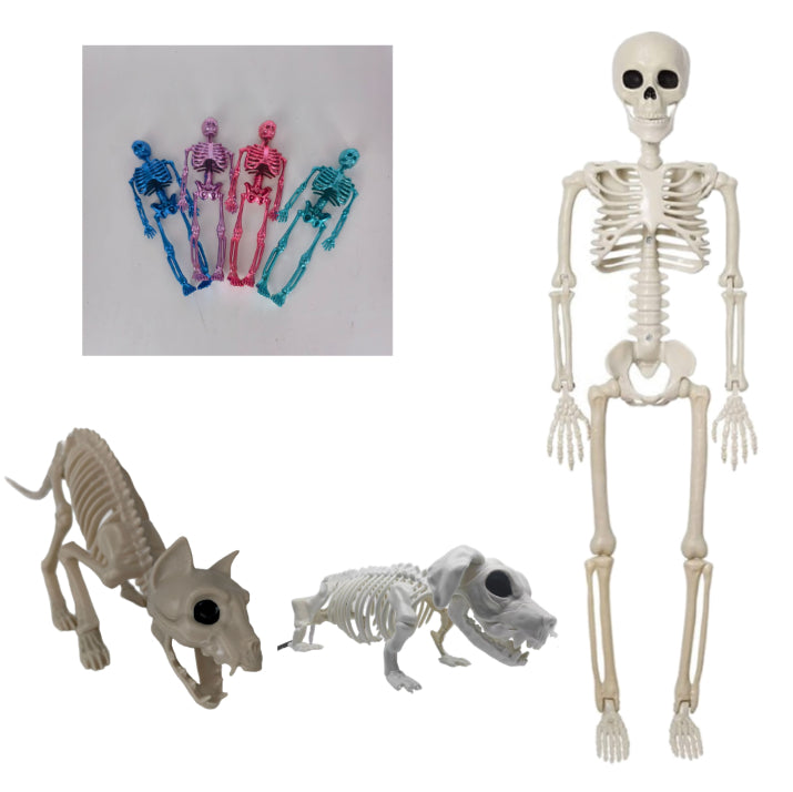Adjustable 165cm Skeleton Skull Halloween Decoration - Plastic Ornament