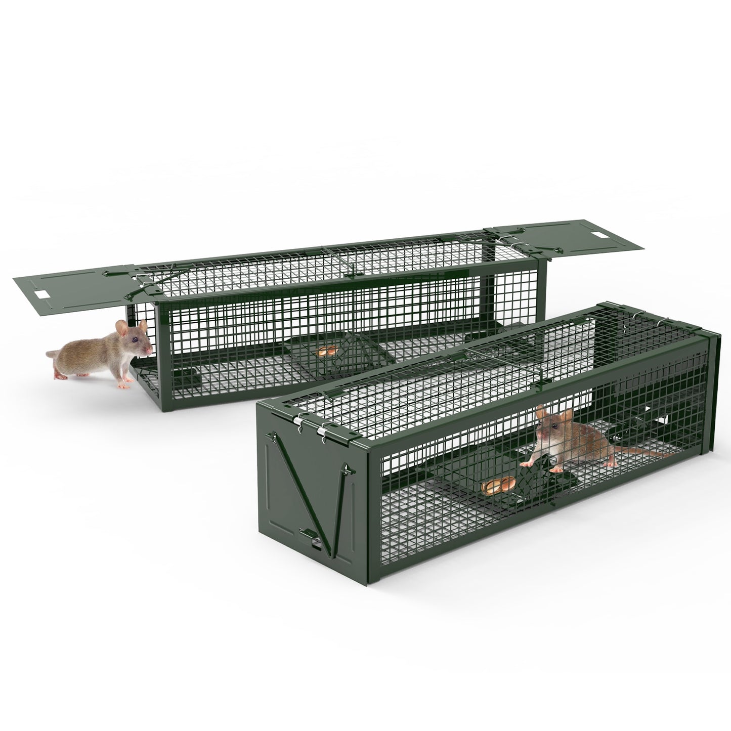 Humane Live Rat Trap - 2-Door Heavy-Duty Galvanized Iron Cage